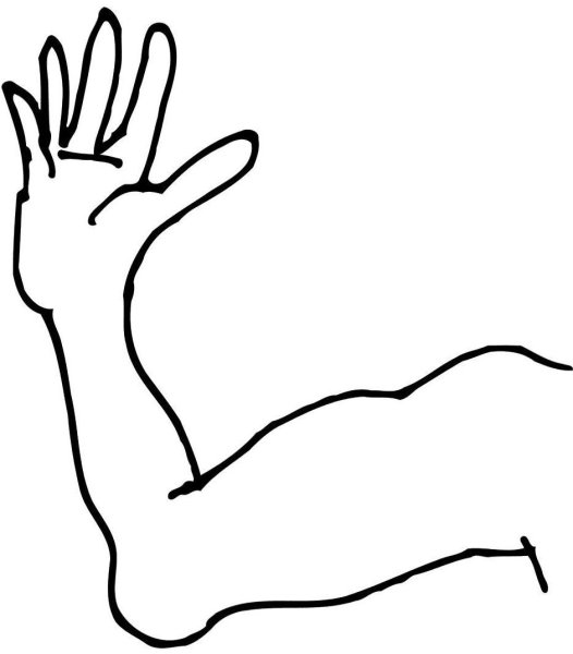 Рука раскраска для детей