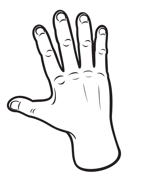 Очертание руки