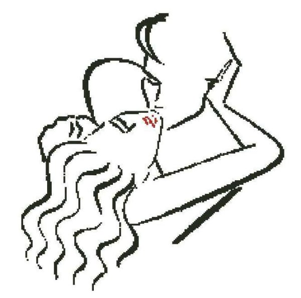 Контурная вышивка поцелуй