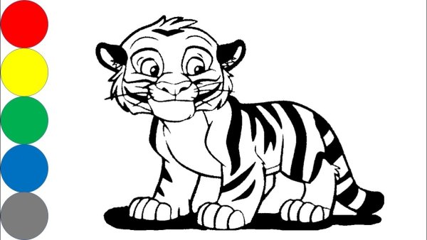Тигр. Раскраска