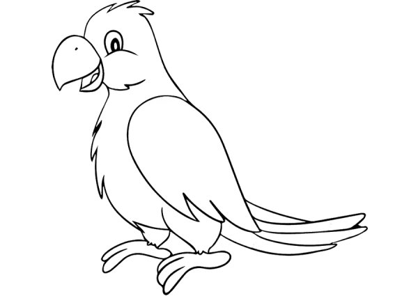Раскраска попугай