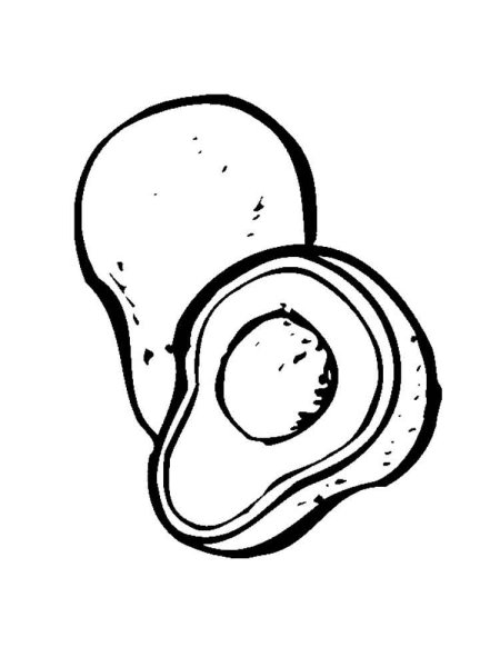 Раскраска авокадо