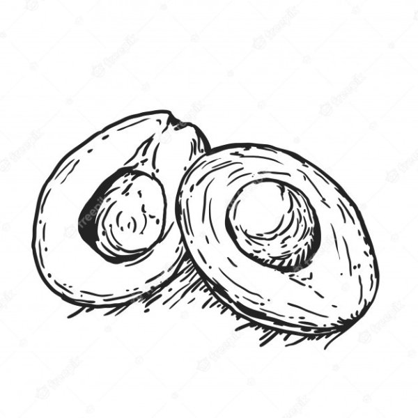 Раскраска авокадо контур