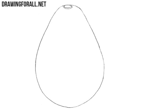Скетч авокадо карандашом