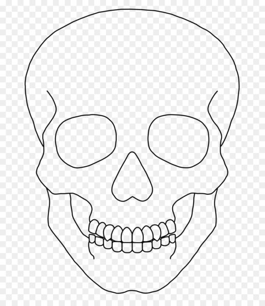 Череп для срисовки