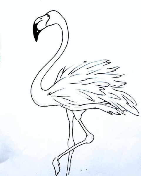 Лицо одной линией Минимализм