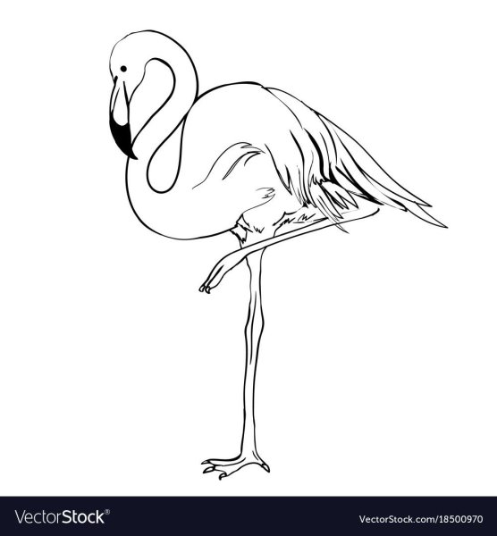 Трафарет Фламинго для вырезания