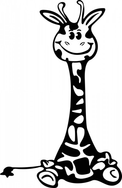 Раскраска жирафа