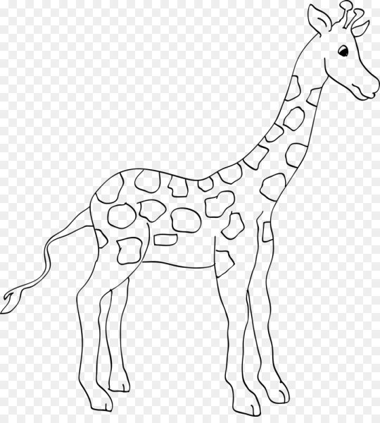 Жираф. Раскраска