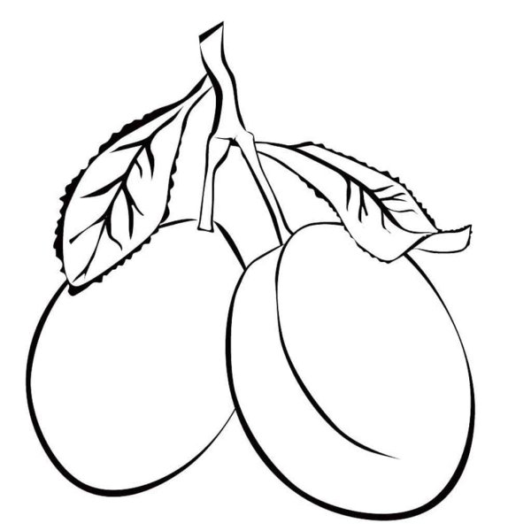 Фрукты раскраска для детей