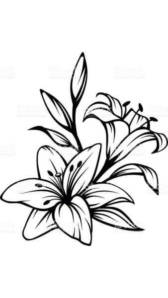 Орнамент лилии