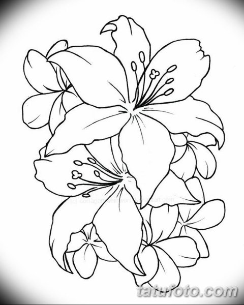 Трафареты цветов для батика