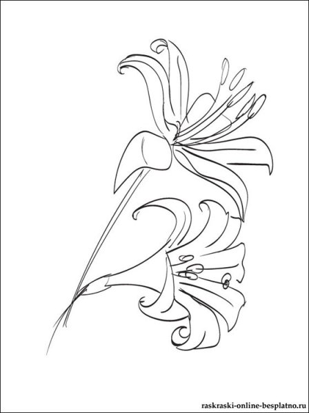 Трафарет белые лилии