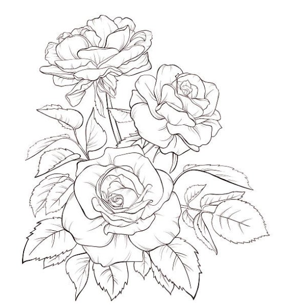 Пионы эскиз для выжигания