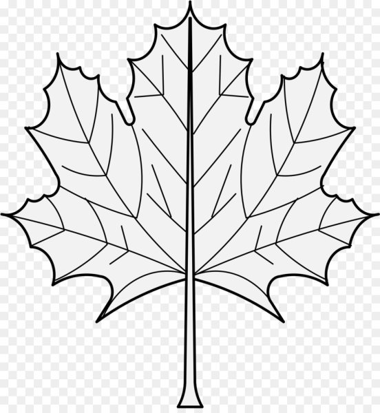Кленовый лист раскраска
