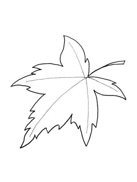 Кленовый лист раскраска