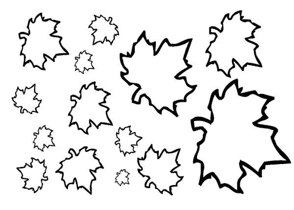 Трафареты кленовых листьев