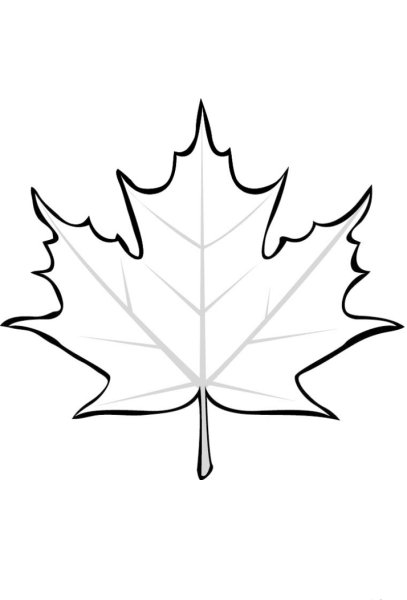 Трафареты кленовых листьев для вырезания