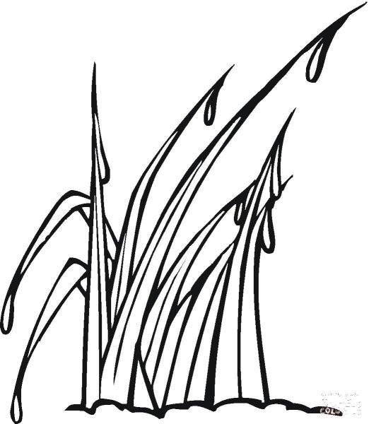 Трава раскраска для детей