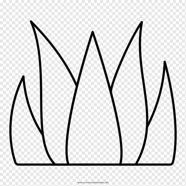 Графические зарисовки трав