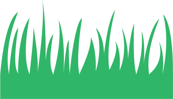 Полевые цветы Графика