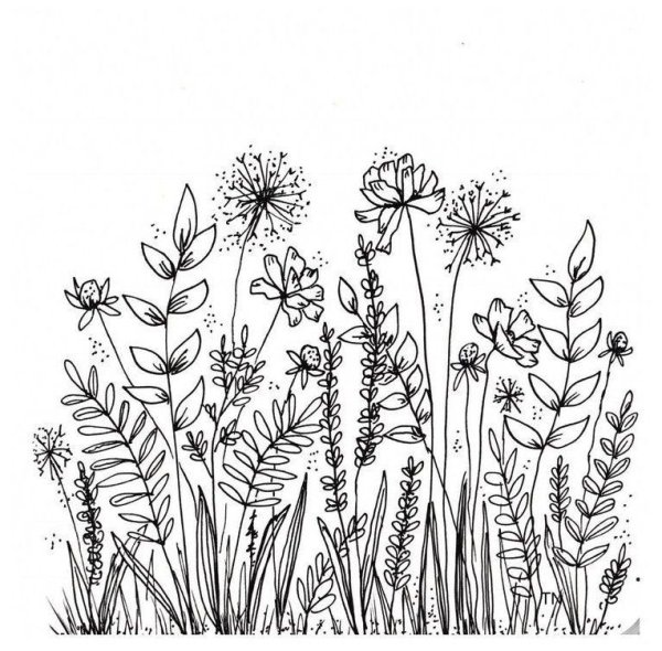 Полевые цветы орнамент