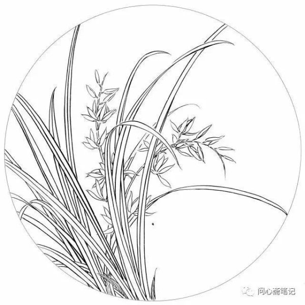 Трава эскиз