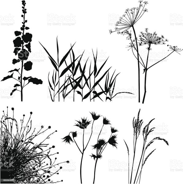 Травинки контур