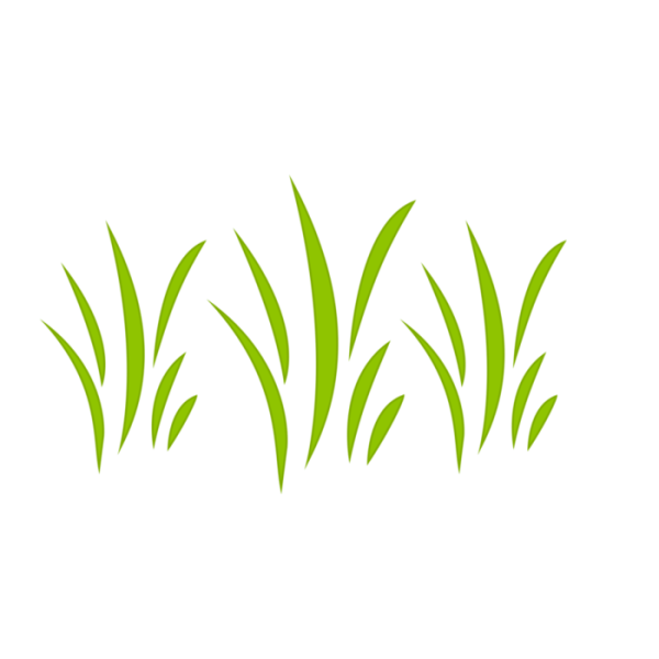 Трава раскраска для детей