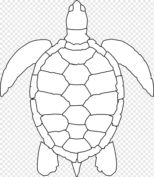 Морская черепаха раскраска
