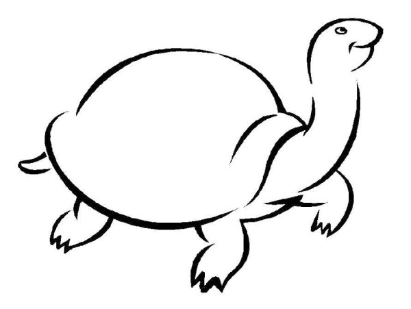 Черепаха контур
