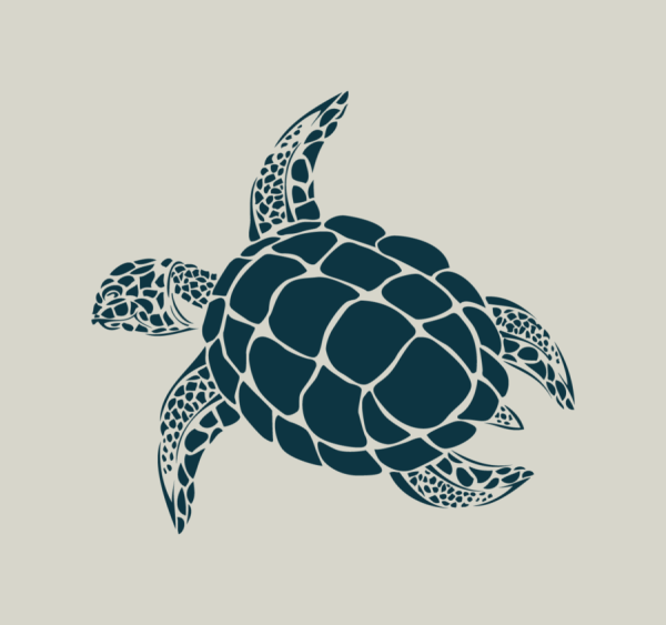 Черепаха раскраска для детей 4-5 лет