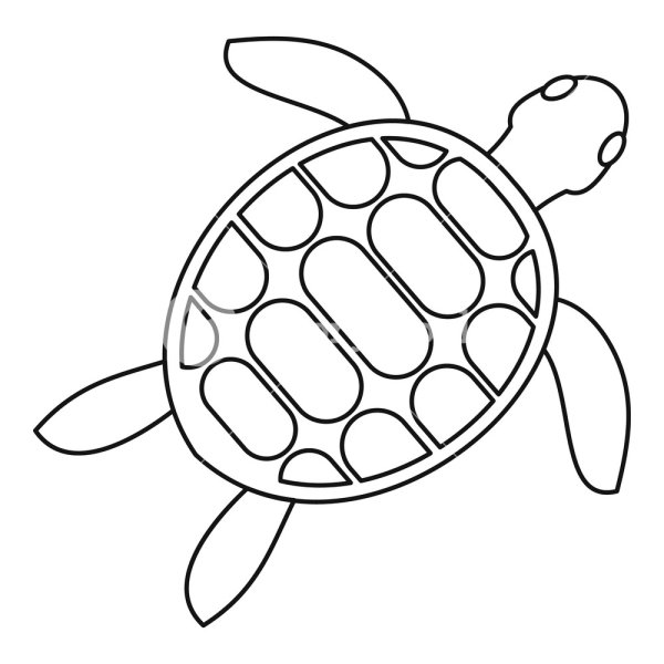 Черепаха раскраска