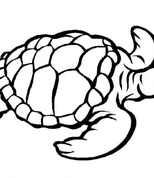 Трафарет черепахи для вырезания