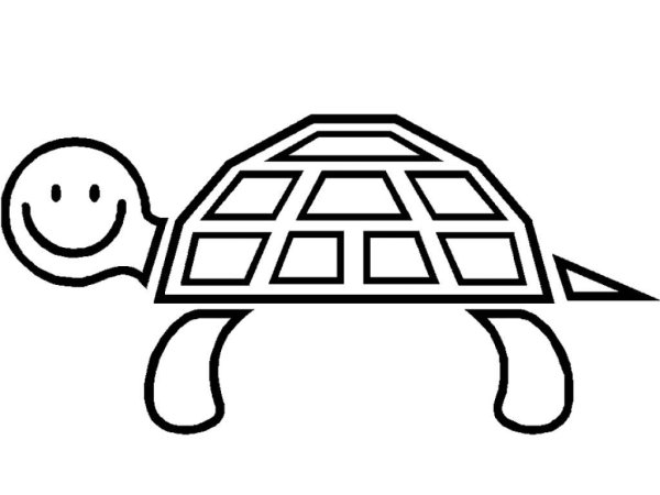 Черепаха контур раскраска