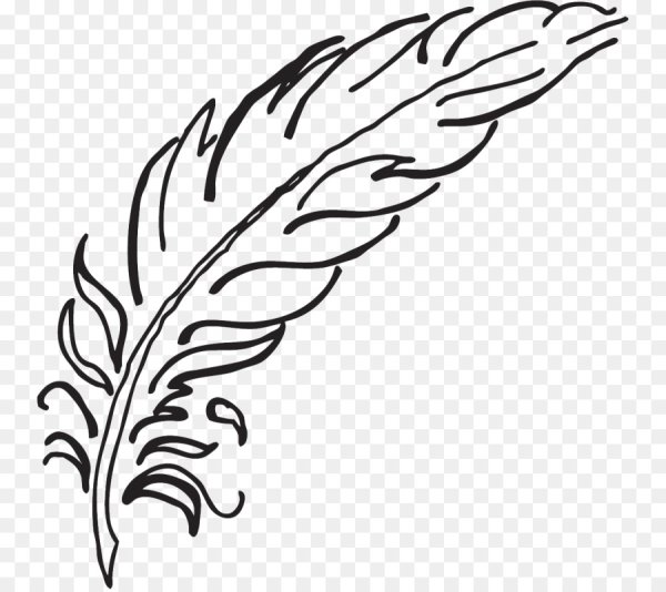 Перо раскраска