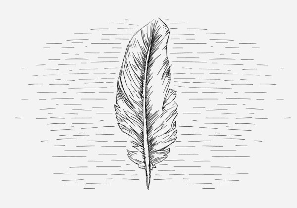 Перо Графика