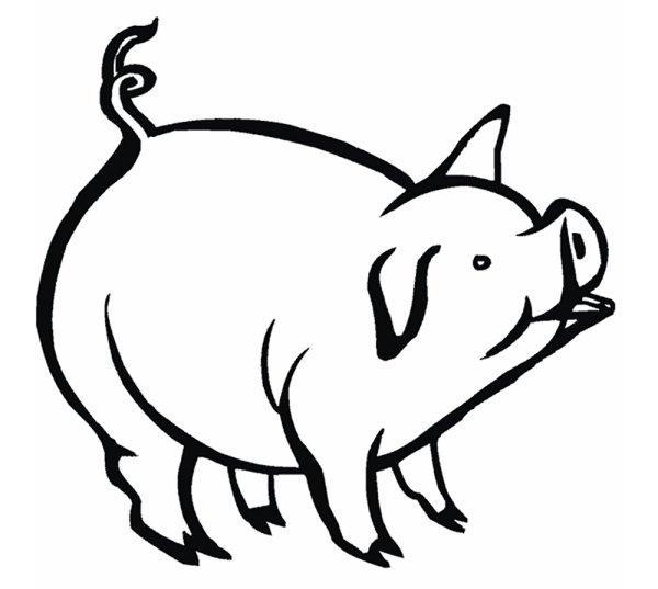 Свинья картинка раскраска