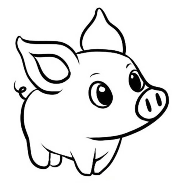 Контур для рисования Свинка