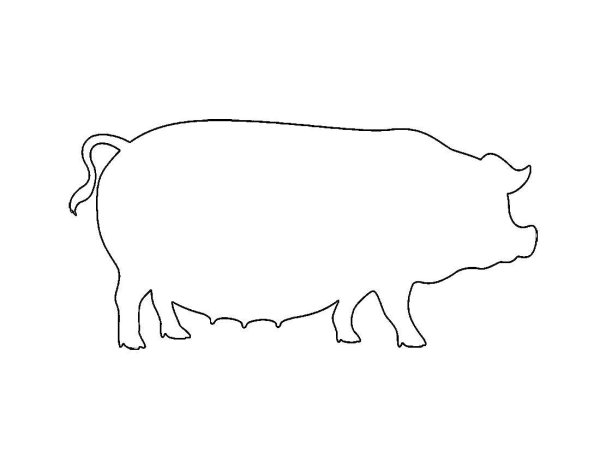 Силуэты домашних животных для раскрашивания детьми