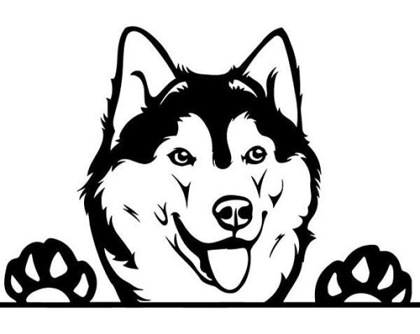 Хаски контур