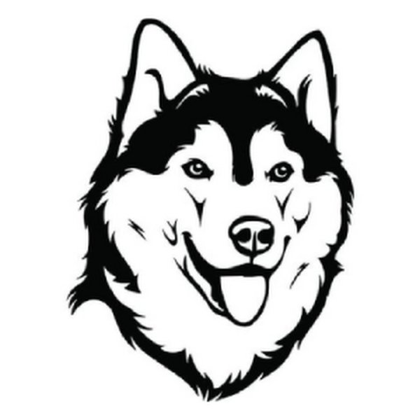 Хаски морда вектор