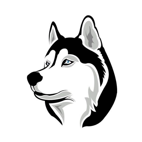Хаски морда вектор
