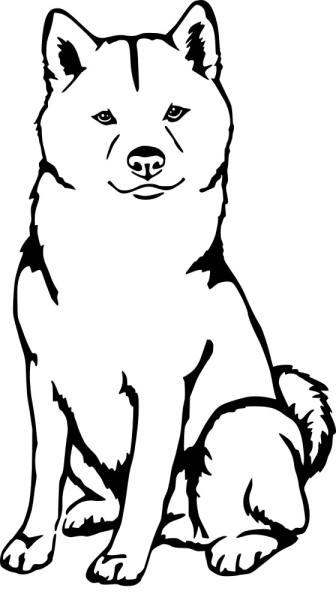 Акита ину контур