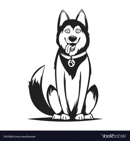 Хаски черно белый контур