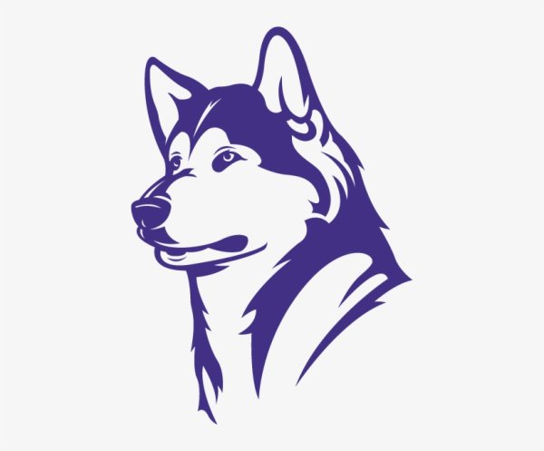 Сибирский хаски вектор