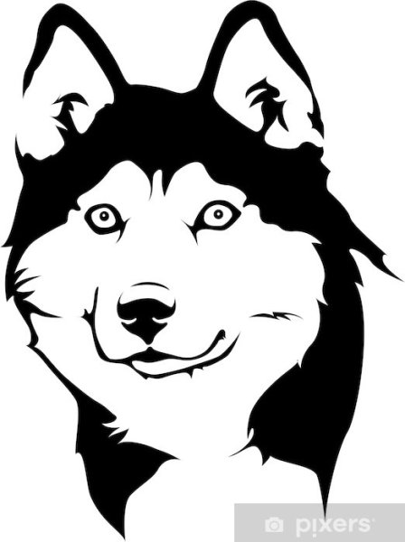 Морда хаски силуэт