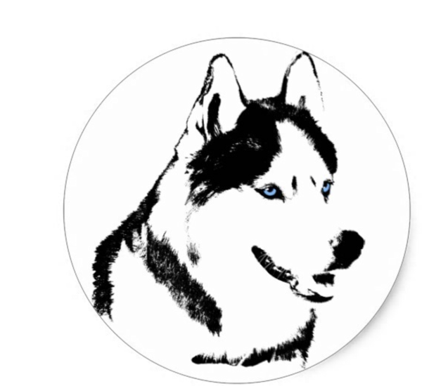 Трафарет хаски для рисования