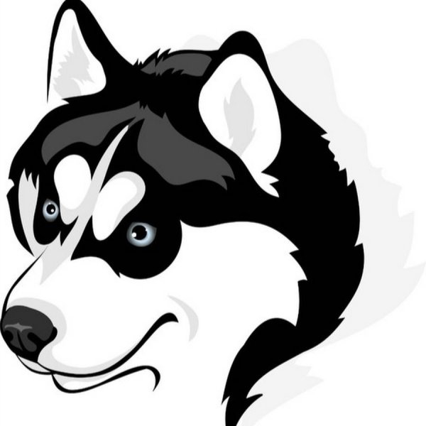 Хаски морда вектор