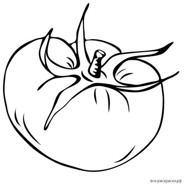 Помидор раскраска